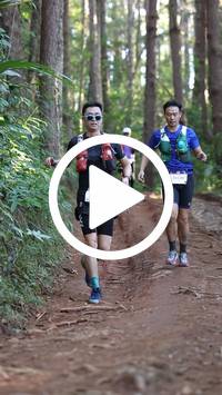 BIB:  <button type="button" onclick="openModal(26569951)" class="btn btn-primary btn-sm float-right" data-toggle="modal" data-target=".modal-high-quality">
                <i class="fa fa-download"></i> Download
                </button>